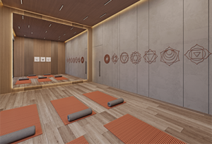 riviera palacio yoga room